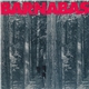 Barnabas - Little Foxes